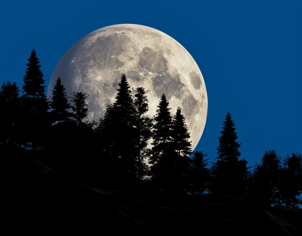 Гороскоп на останній тиждень літа